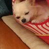 clipThumbnail