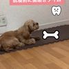 clipThumbnail