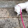 clipThumbnail