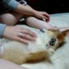 clipThumbnail