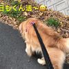 clipThumbnail
