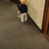clipThumbnail