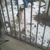 clipThumbnail