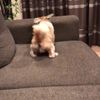 clipThumbnail