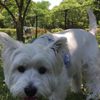 clipThumbnail