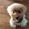 clipThumbnail