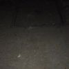 clipThumbnail