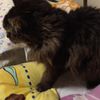 clipThumbnail