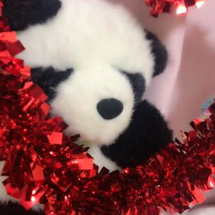 真夜中のジャロ助の画像