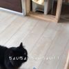 clipThumbnail