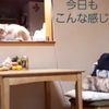 clipThumbnail