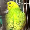 clipThumbnail