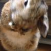 clipThumbnail