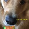 clipThumbnail