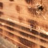 clipThumbnail