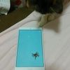 clipThumbnail