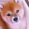 clipThumbnail