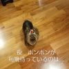 clipThumbnail
