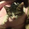 clipThumbnail
