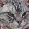 clipThumbnail