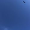 clipThumbnail