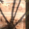 clipThumbnail