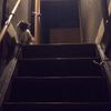 clipThumbnail
