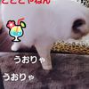 clipThumbnail