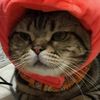 clipThumbnail