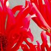 clipThumbnail