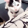clipThumbnail