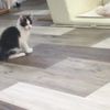clipThumbnail